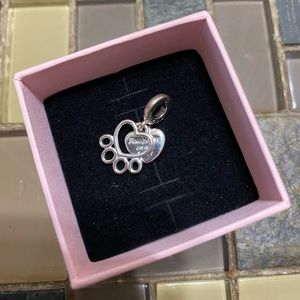 Pandora charm